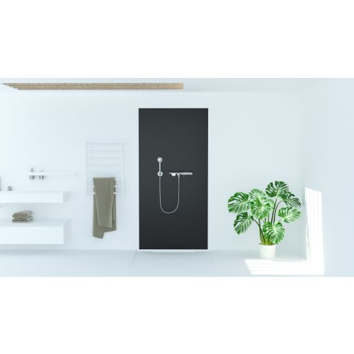 SANOWALL ANTHRAZIT Wandverkleidung 100x250x0,3cm
