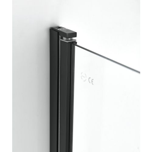 Schwenktüre 80cm schwarz matt 78-80x195cm